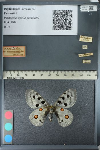 Media type: image;   Entomology 175371